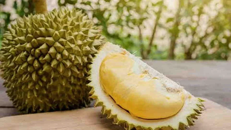 Manfaat Durian Musang King