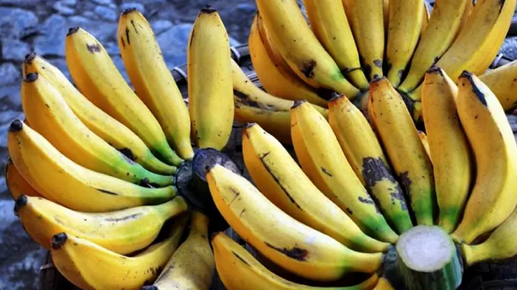 Manfaat pisang raja