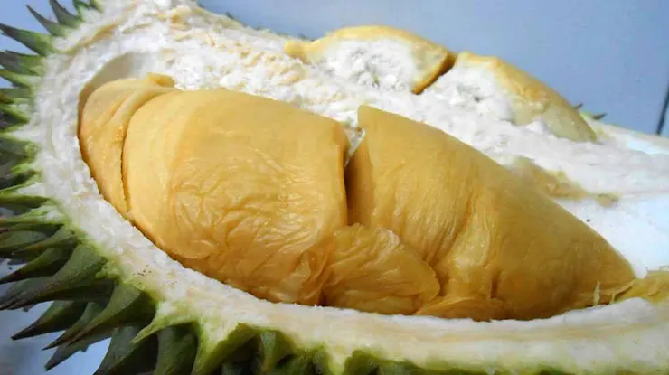 Asal Usul Durian Bawor
