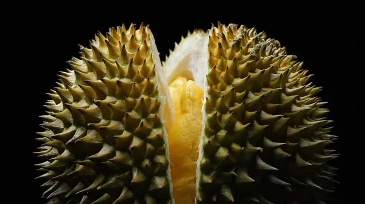 Asal Usul Durian Duri Hitam