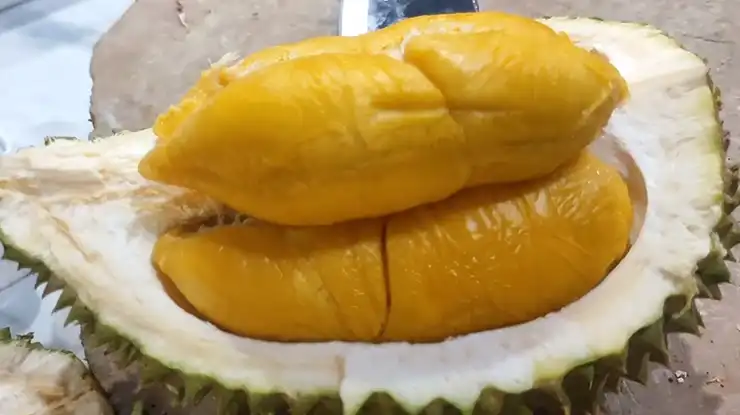 Asal Usul Durian Masmuar