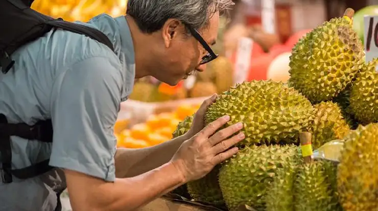 Cara Mendapatkan Durian Termahal di Dunia