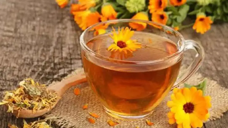 Cara Mengolah Bunga Marigold untuk Pengobatan