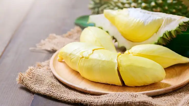 Ciri Ciri Durian Bokor