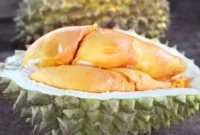 Durian Lai