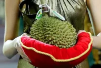 Durian Termahal di Dunia