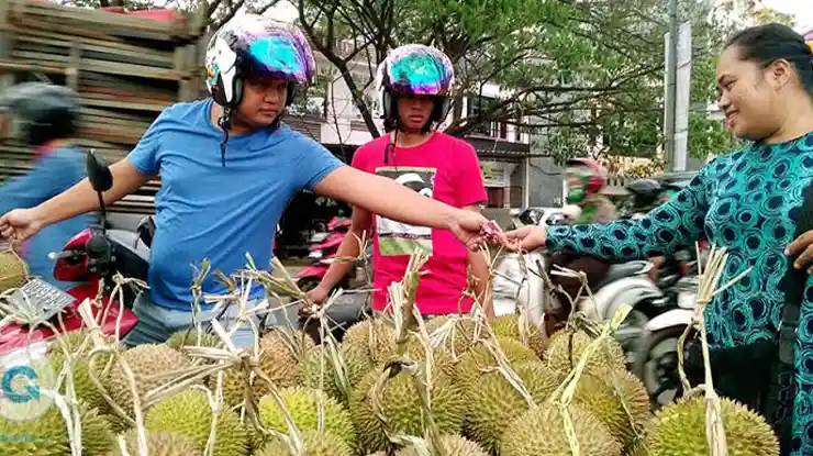 Harga Durian Bokor