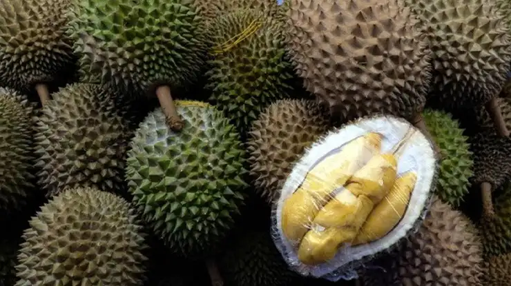 Harga Durian Kanyao