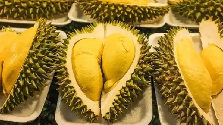 Harga Durian Montong