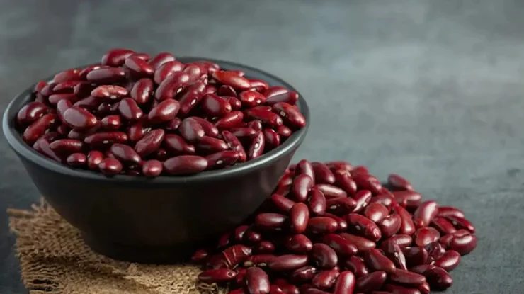 Kacang Merah Contoh Tanaman Legum