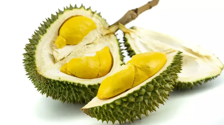 Keunggulan Durian Bokor