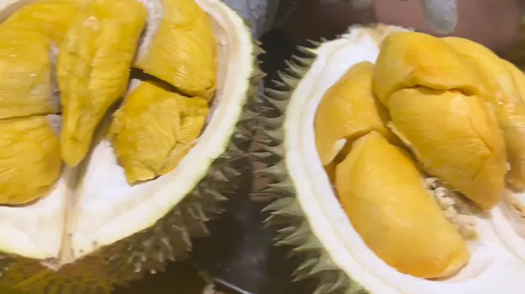 Keunggulan Durian Masmuar 1