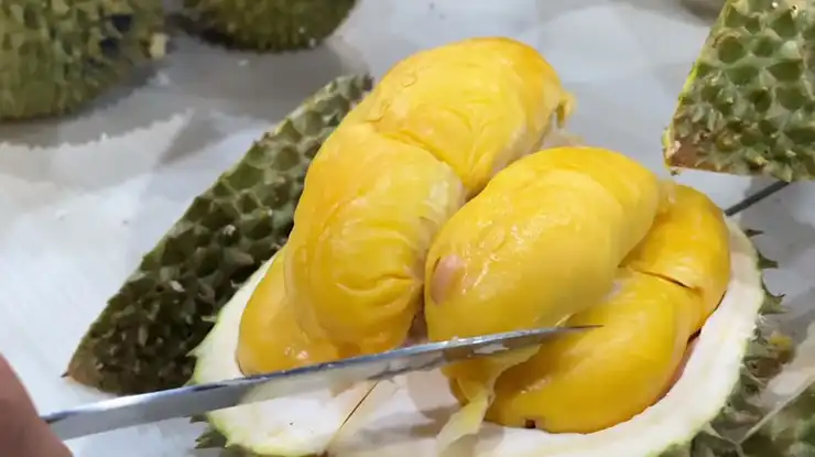Keunggulan Durian Puang Manee Thailand