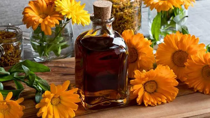 Manfaat Bunga Marigold Untuk Kesehatan