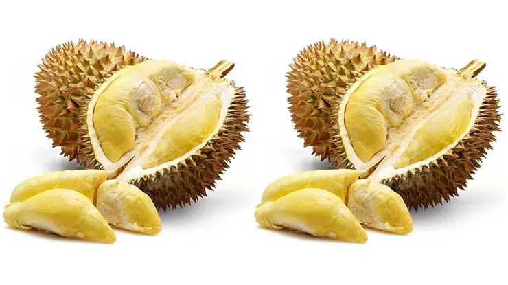 Manfaat Durian Bawor