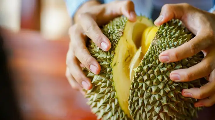 Manfaat Durian Termahal di Dunia