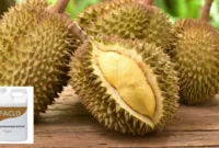 Paclobutrazol untuk Durian
