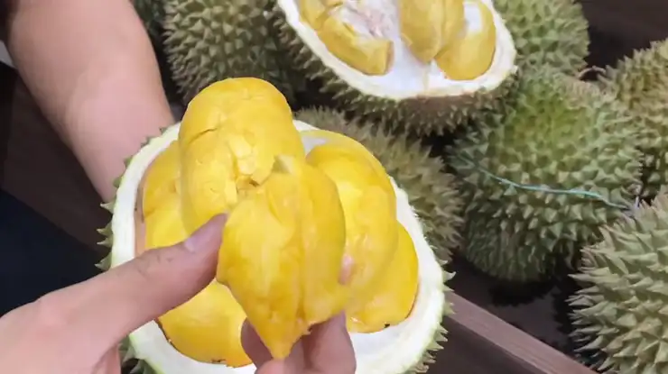 Rasa Durian Puang Manee Thailand
