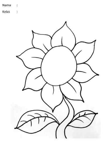 Gambar Bunga Matahari 2