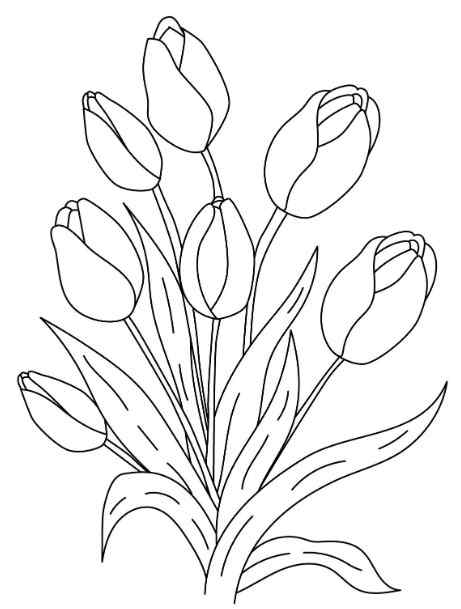 Gambar Bunga Tulip Ungu 2