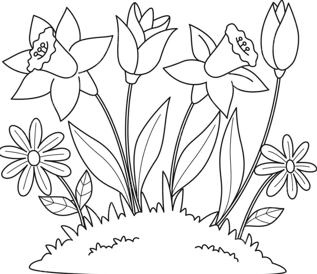Gambar Bunga Tulip Ungu